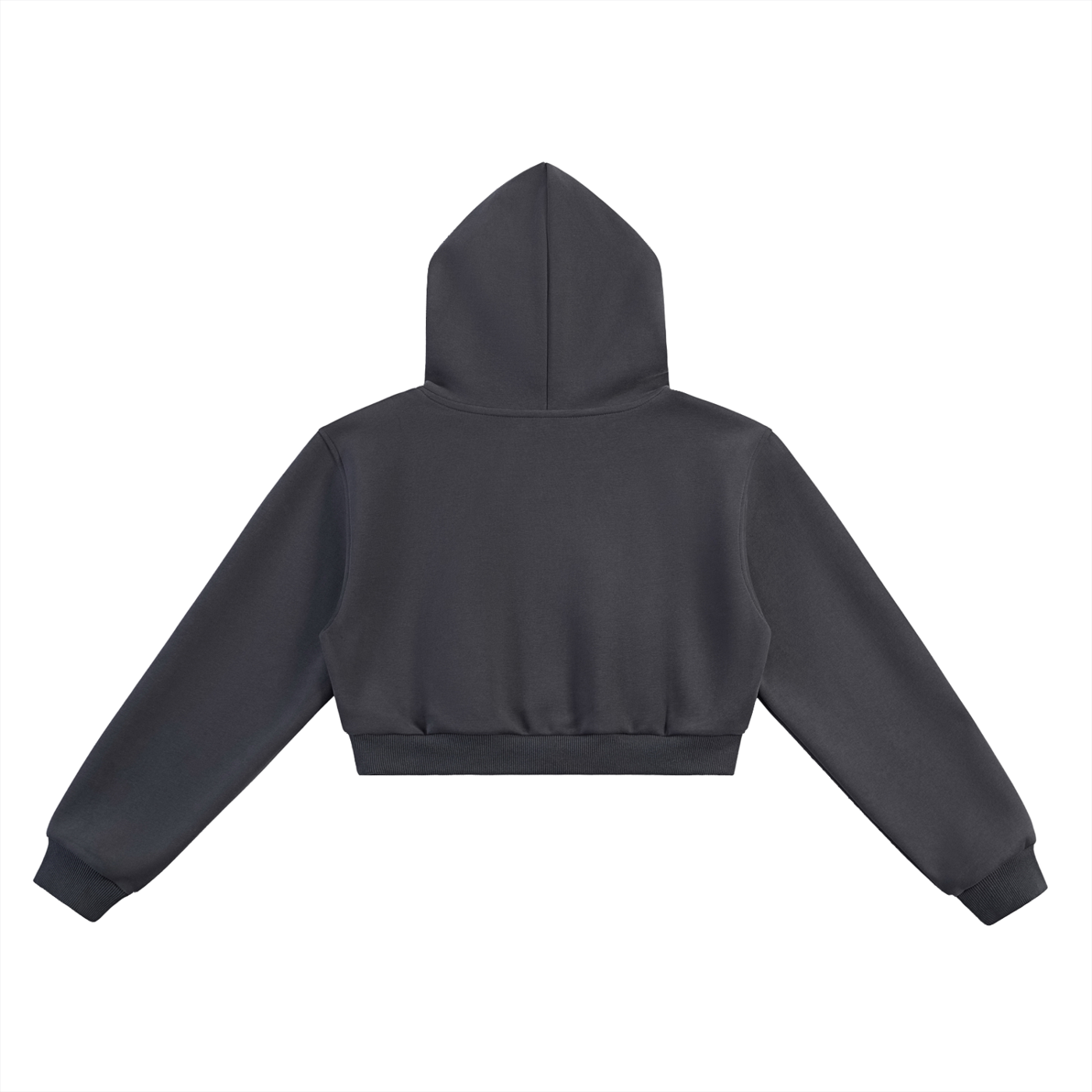 SFD Retro Star Cropped Hoodie